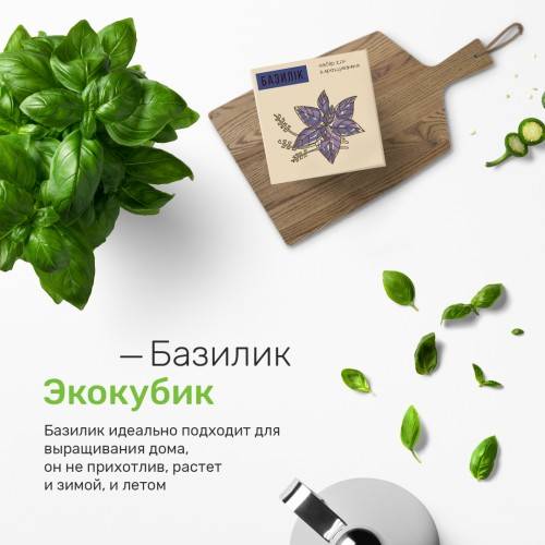 Экокуб Базилик