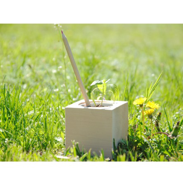 Набор Цветущих Карандашей Ecocube Овощи Травы (10 шт.)