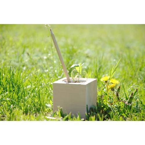 Набор Цветущих Карандашей Ecocube Итальянский Травы (6 шт.)