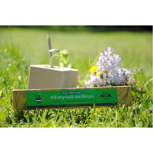 Набор Цветущих Карандашей Ecocube Итальянский Травы (6 шт.)