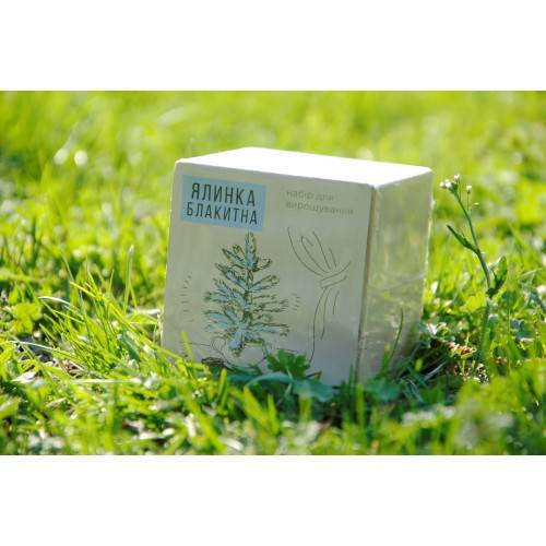 Экокуб Голубая Сосна