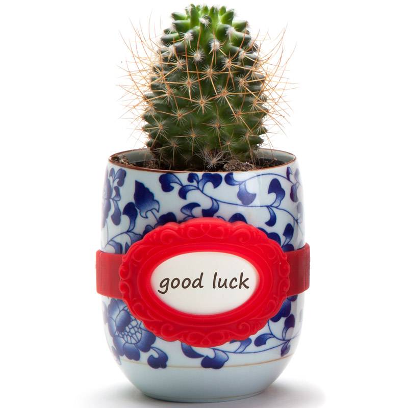 Универсальная бирка Monkey Business La Bella Small Красная