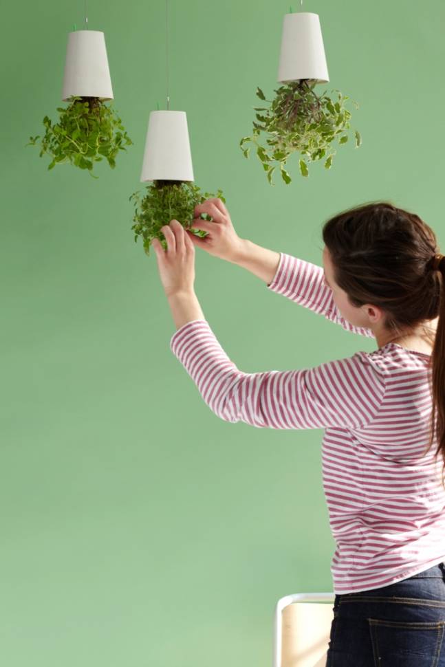 Горщик для квітів Sky Planter 9х13 см Рожевий Горщик для квітів Sky Planter 9х13 см Рожевий