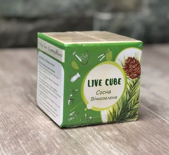 Набор для выращивания Live Cube Сосна