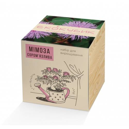 Экокуб Мимоза Стыдливая