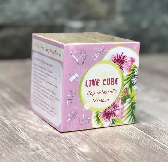 Набор для выращивания Live Cube Мимоза Стыдливая