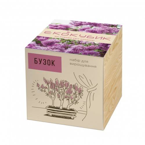 Екокуб Бузок