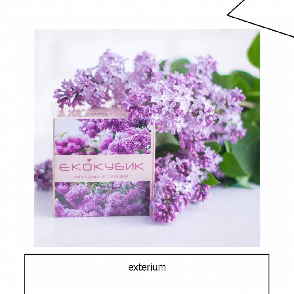 Екокуб Бузок