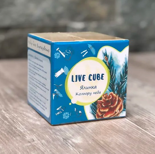 Набор для выращивания Live Cube Голубая Ель