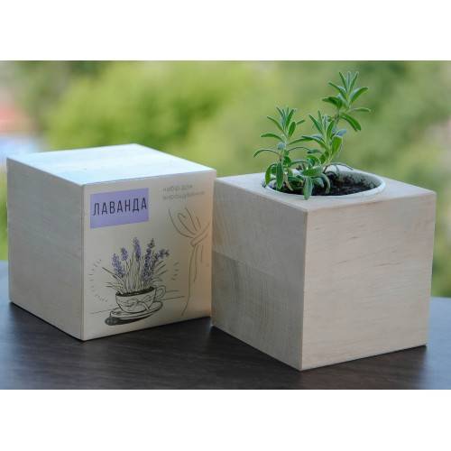 Екокуб Лаванда