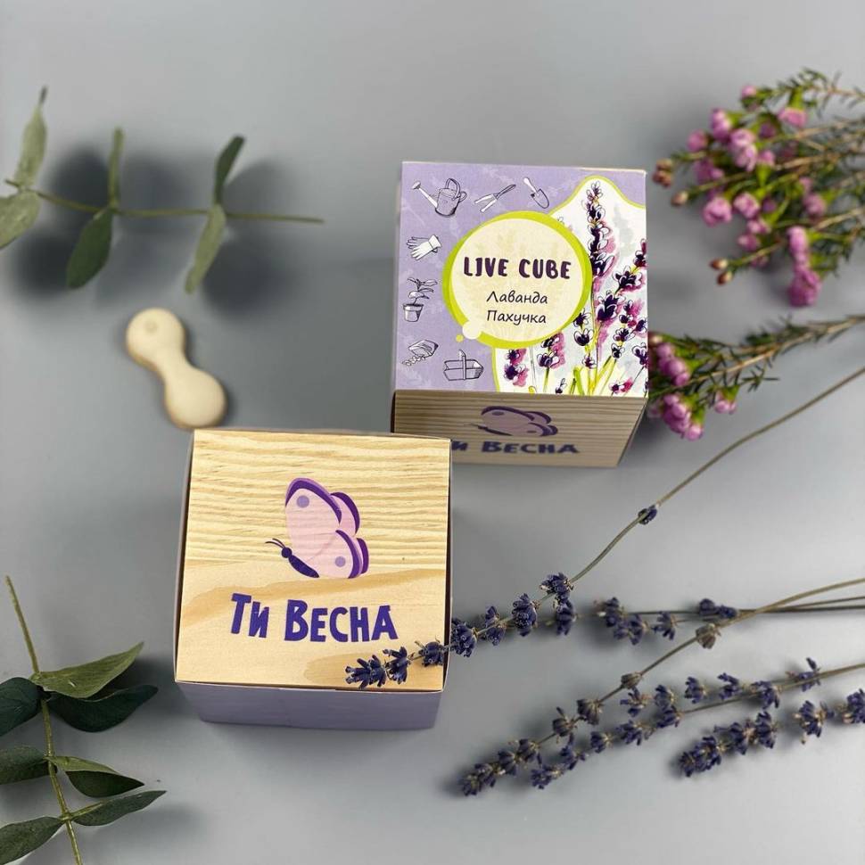 Набор для выращивания Live Cube Лаванда
