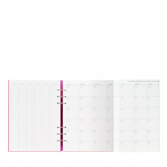Органайзер Filofax Clipbook A5 Gummy Pink