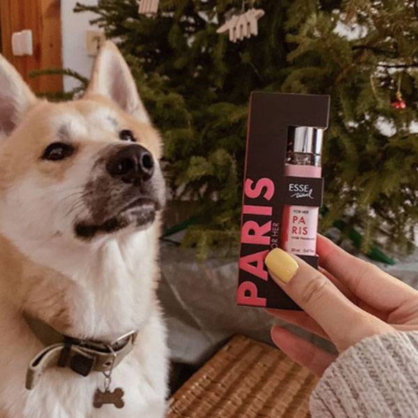 Парфюм Esse Travel Paris Женский 20 мл