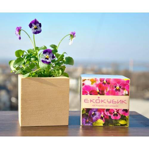 Экокуб Фиалка
