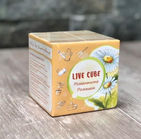 Набор для выращивания Live Cube Ромашка