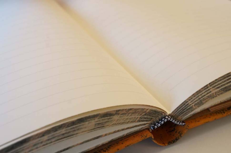 Средний блокнот Paperblanks Манускрипты Роден Линия