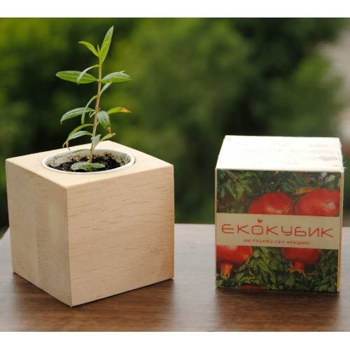 Экокуб Гранат