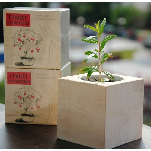 Экокуб Гранат