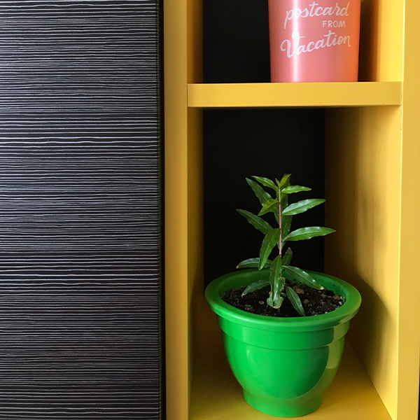 Экокуб Гранат