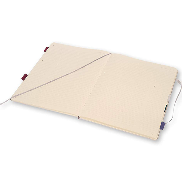 Большой блокнот Moleskine PRO Aster Grey