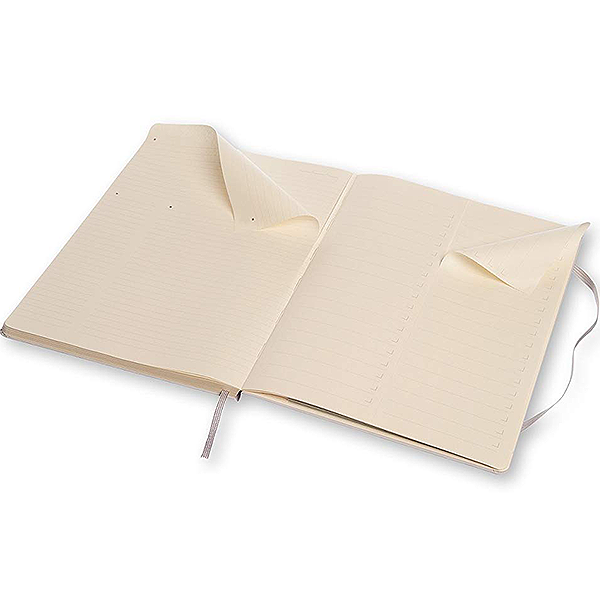 Большой блокнот Moleskine PRO Aster Grey