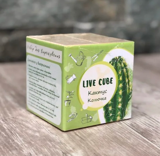 Набор для выращивания Live Cube Кактус