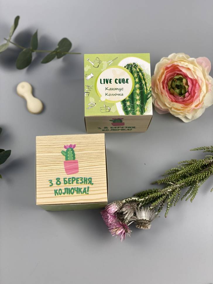 Набор для выращивания Live Cube Кактус