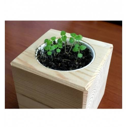 Екокуб Мелісса