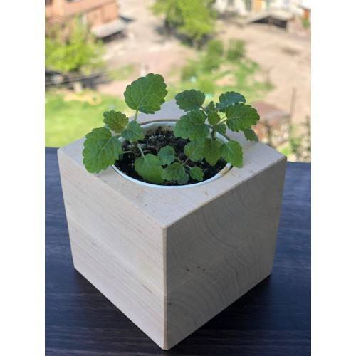 Екокуб Мелісса