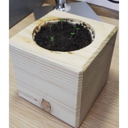 Екокуб Мелісса