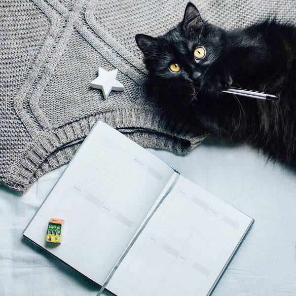 Блокнот для планування Gifty Planner Yellow