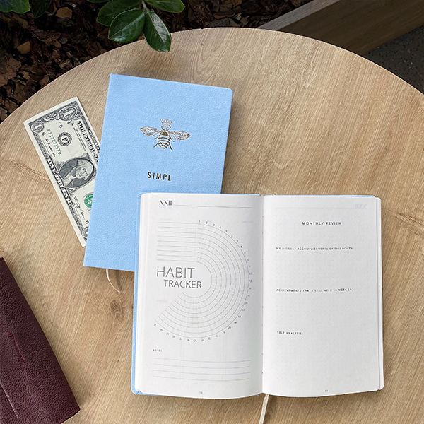 Планер Simpl Голубой