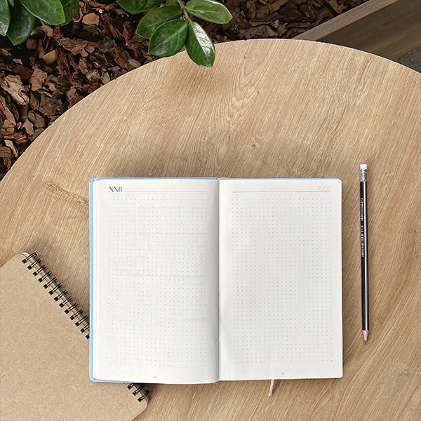 Планер Simpl Голубой