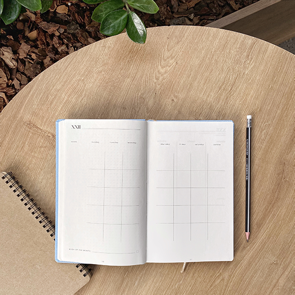 Планер Simpl Голубой