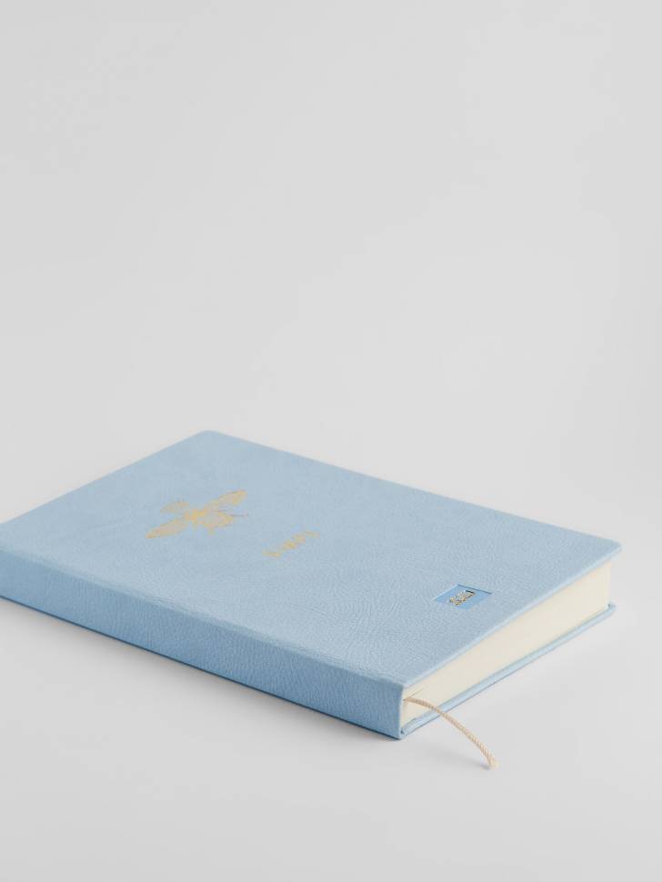 Планер Simpl Голубой