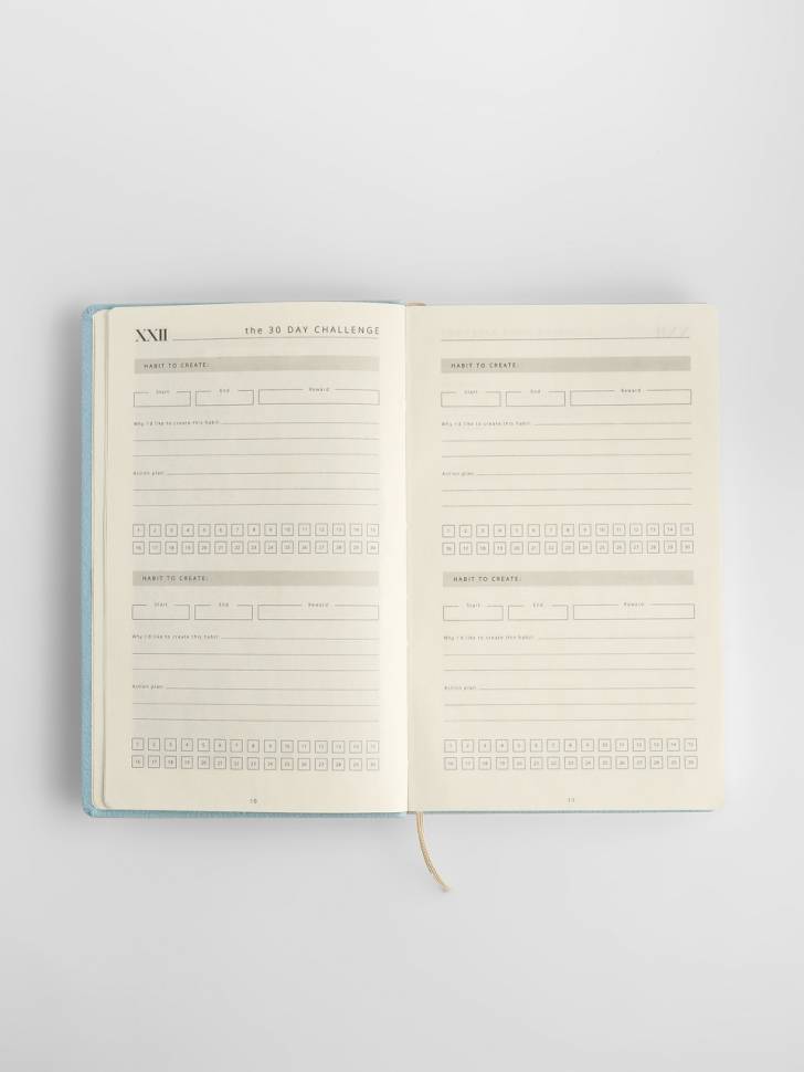 Планер Simpl Голубой