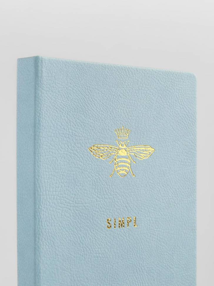 Планер Simpl Голубой