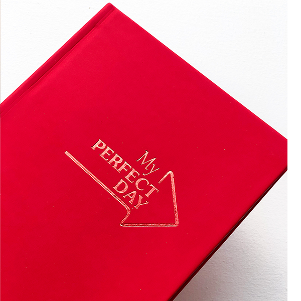 Планер My Perfect Day Active Красный