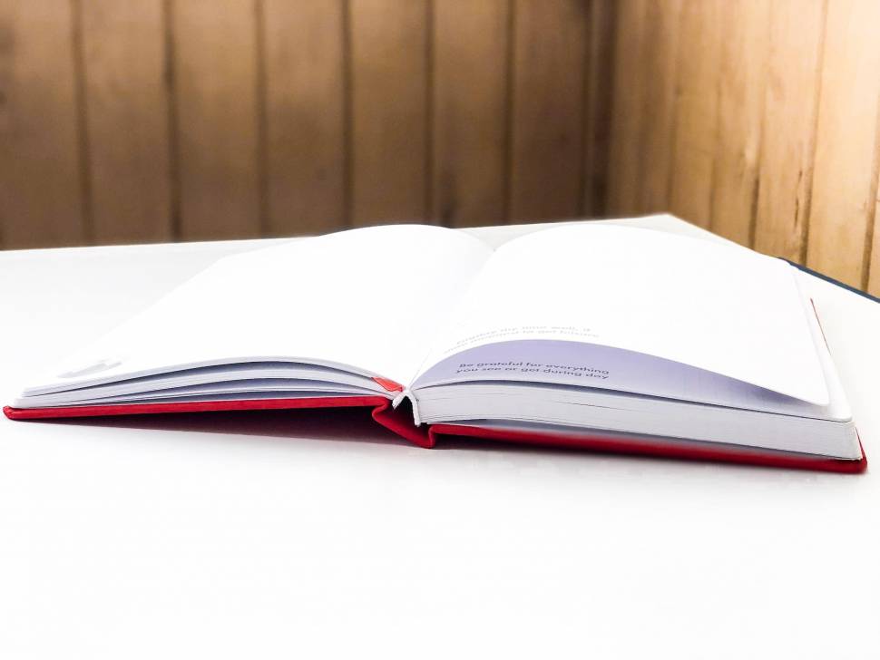 Планер My Perfect Day Active Красный