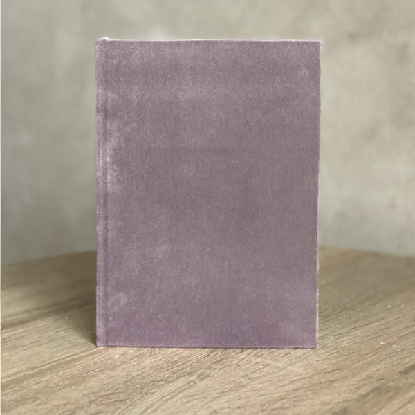 Планер в оксамитовій обкладинці Капучино