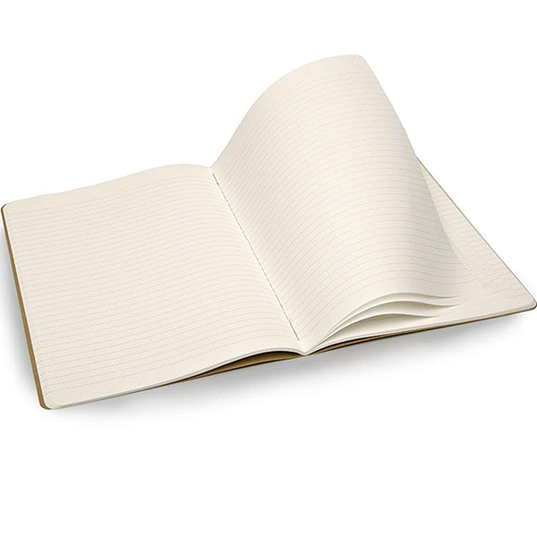 Большой блокнот Moleskine Evernote (2 шт)