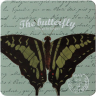 Блокнот Languo Butterfly Green в металлической обложке