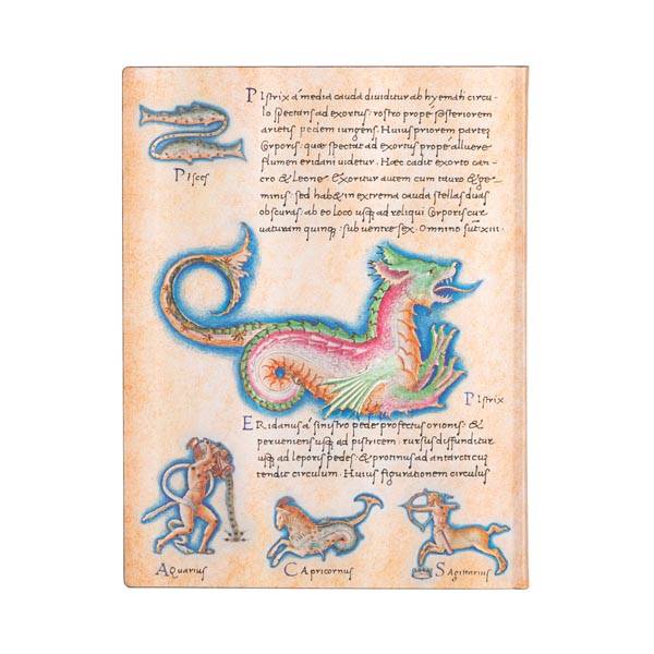 Большой Блокнот Paperblanks Flexi Астрономика De Sideribus Tractatus Линия