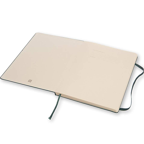 Большой блокнот Moleskine PRO Шалфей