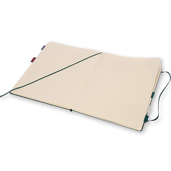 Большой блокнот Moleskine PRO Шалфей