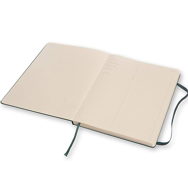 Большой блокнот Moleskine PRO Шалфей