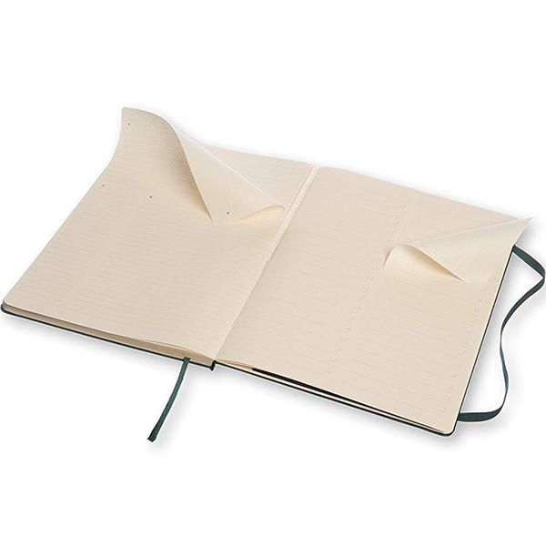 Большой блокнот Moleskine PRO Шалфей