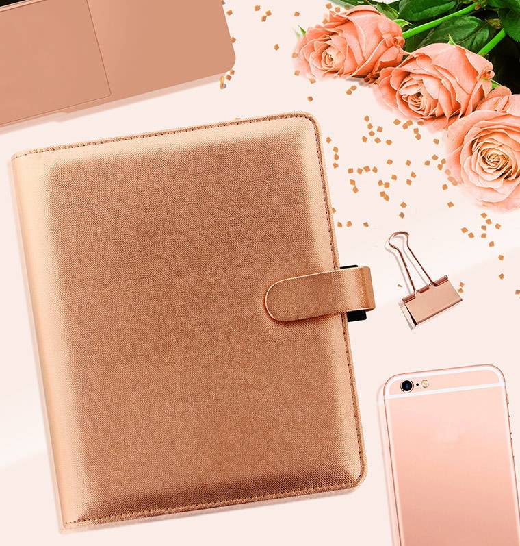 Органайзер Filofax Saffiano A5 Rose Gold (022572)