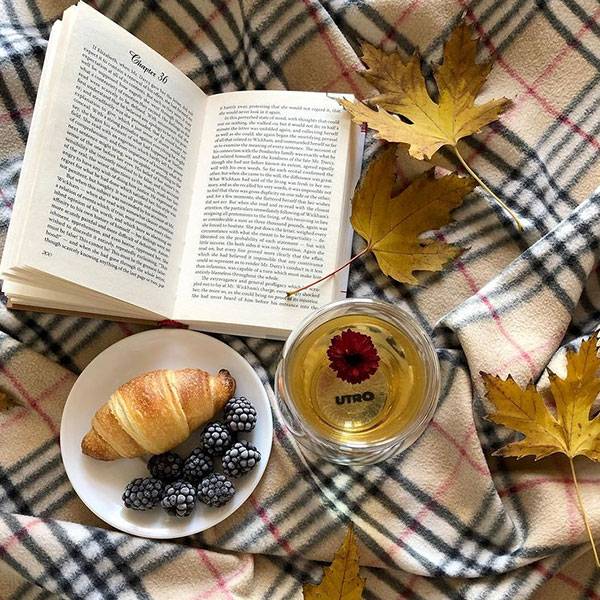 Набор стаканов UTRO Flechazo 350​ мл с двойным дном 2 шт