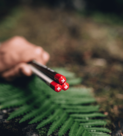 Набор Карандашей Caran d'Ache Swiss Wood 3 шт + ластик + точилка